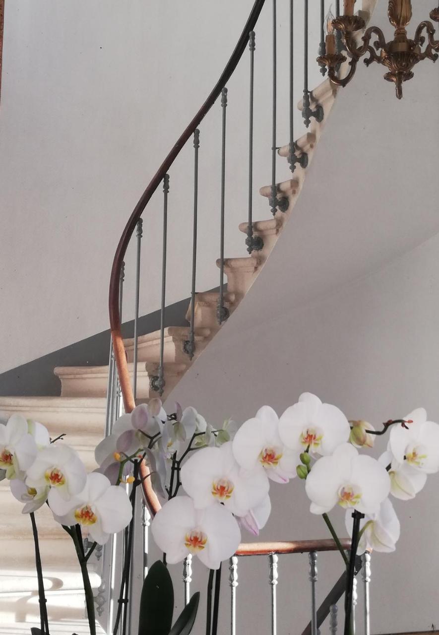 Bed and Breakfast L'Angély Niort Esterno foto
